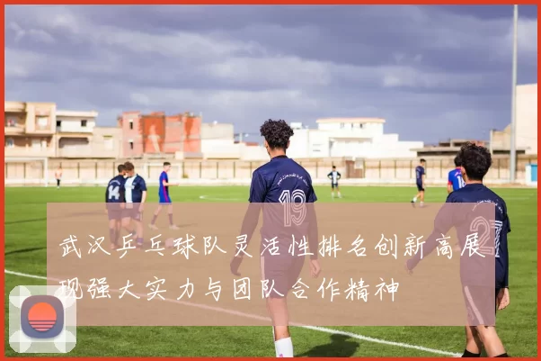 武汉乒乓球队灵活性排名创新高展现强大实力与团队合作精神