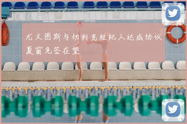 尤文图斯与切利克经纪人达成协议夏窗免签在望