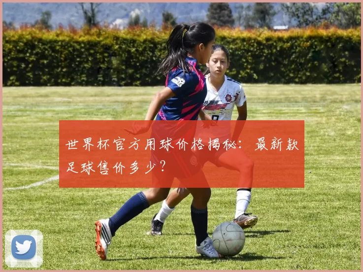 世界杯官方用球价格揭秘：最新款足球售价多少？