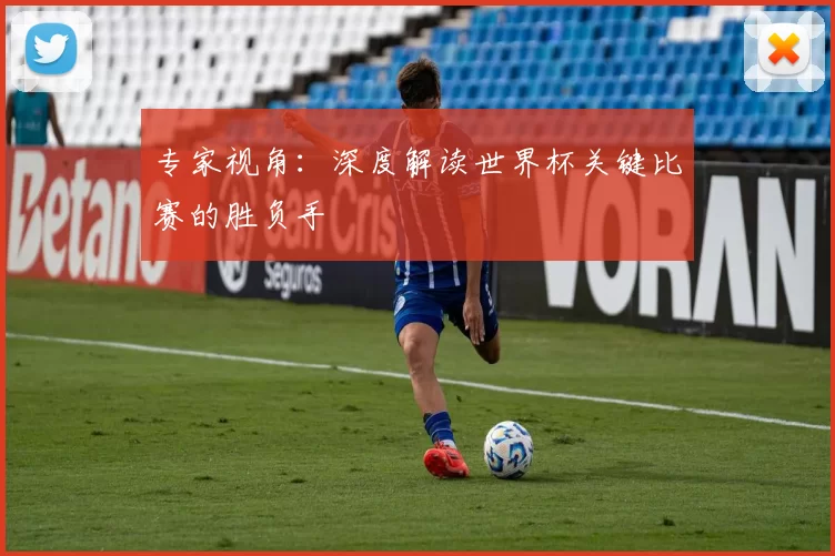 专家视角:深度解读世界杯关键比赛的胜负手