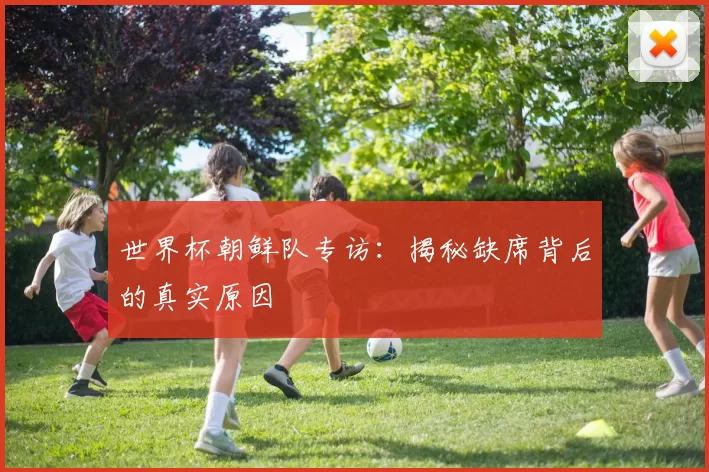 世界杯朝鲜队专访：揭秘缺席背后的真实原因
