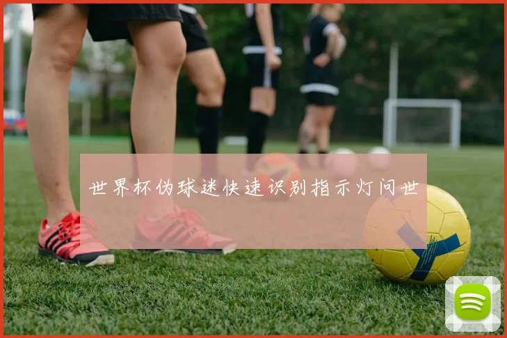 世界杯伪球迷快速识别指示灯问世