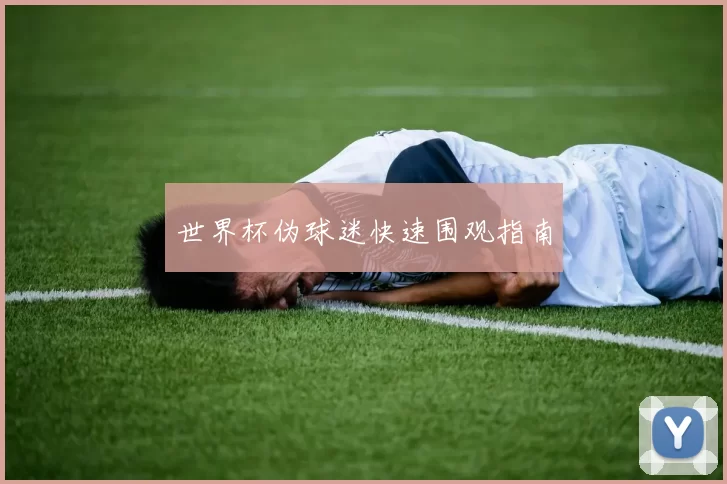 世界杯伪球迷快速围观指南
