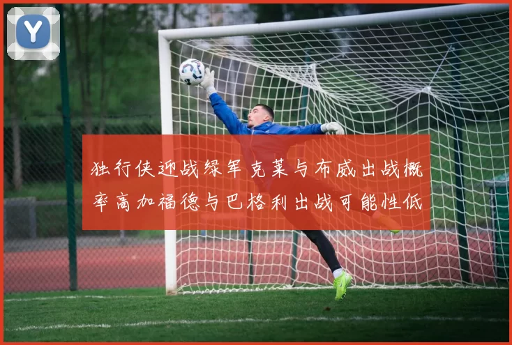 独行侠迎战绿军克莱与布威出战概率高加福德与巴格利出战可能性低