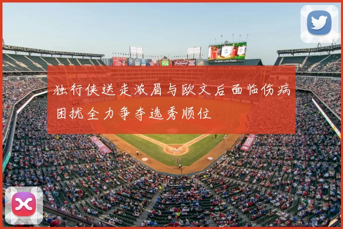 独行侠送走浓眉与欧文后面临伤病困扰全力争夺选秀顺位