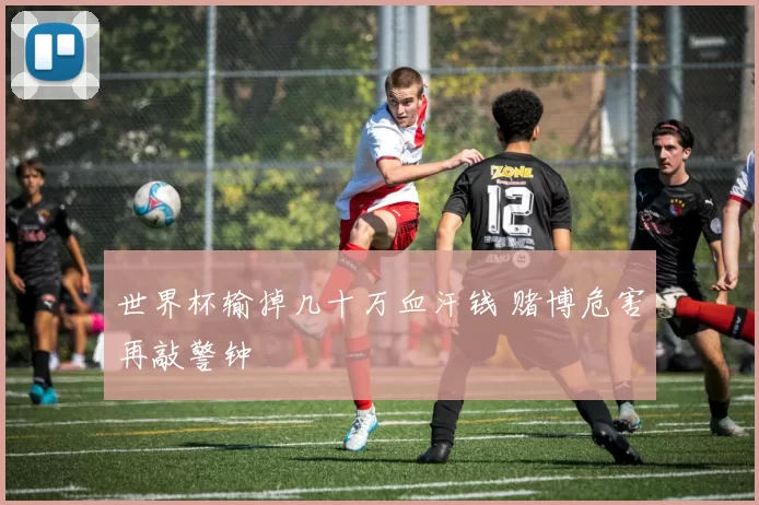 世界杯输掉几十万血汗钱 赌博危害再敲警钟