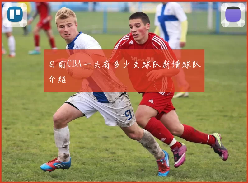 目前CBA一共有多少支球队新增球队介绍