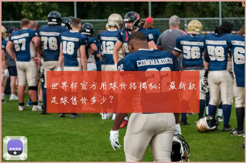 世界杯官方用球价格揭秘：最新款足球售价多少？