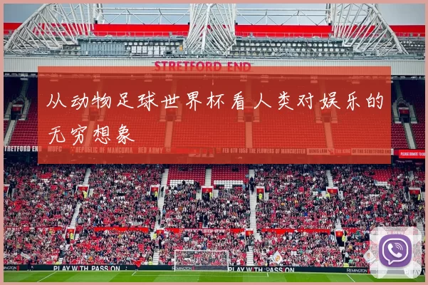 从动物足球世界杯看人类对娱乐的无穷想象