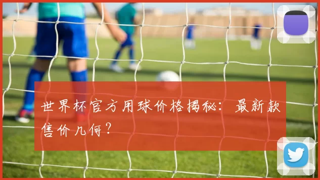 世界杯官方用球价格揭秘：最新款售价几何？