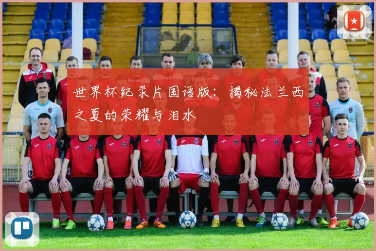 世界杯纪录片国语版:揭秘法兰西之夏的荣耀与泪水