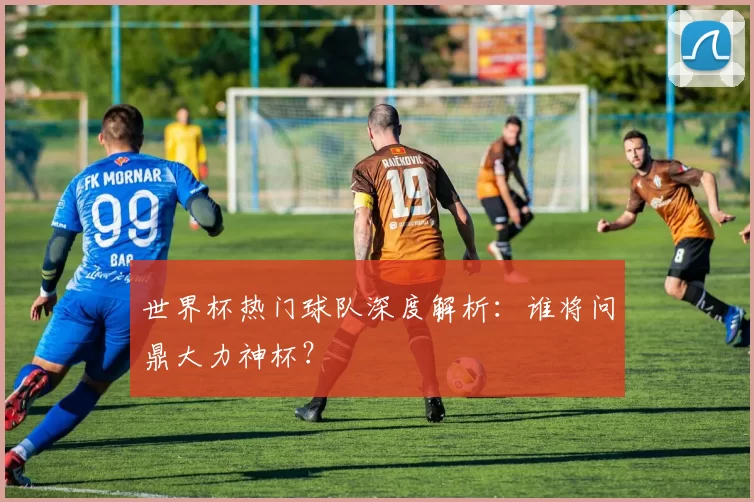 世界杯热门球队深度解析：谁将问鼎大力神杯？