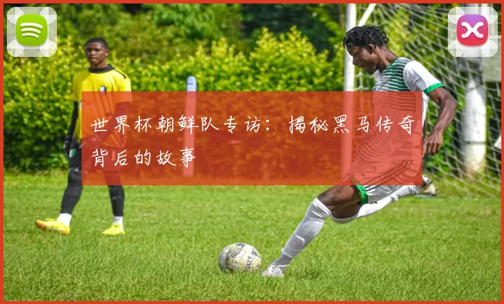世界杯朝鲜队专访：揭秘黑马传奇背后的故事