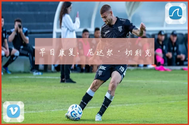 早日康复，尼达尔·切利克