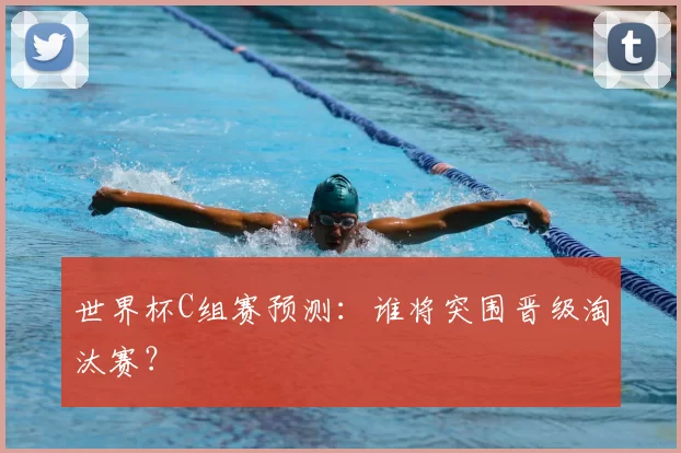 世界杯C组赛预测：谁将突围晋级淘汰赛？