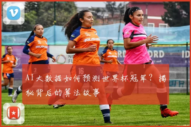 AI大数据如何预测世界杯冠军？揭秘背后的算法故事