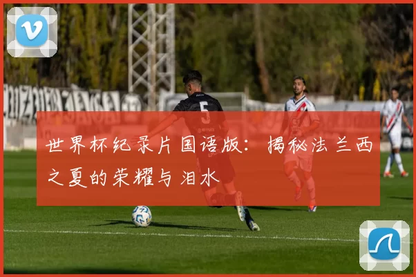 世界杯纪录片国语版：揭秘法兰西之夏的荣耀与泪水