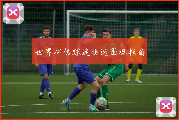 世界杯伪球迷快速围观指南